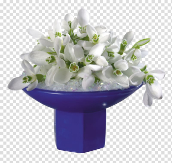 Galanthus woronowii Flower Jasmine White Rose, snowdrop transparent background PNG clipart