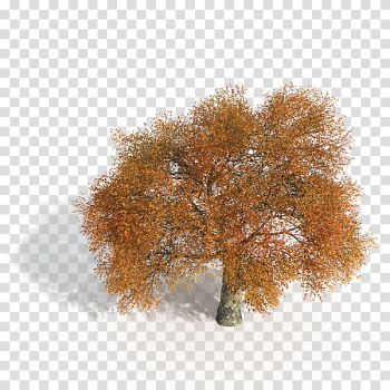 Game tree, Yellow game tree transparent background PNG clipart Game tree, Yellow game tree transparent background PNG clipart