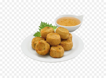 Ganmodoki Chicken nugget Pakora Bonda Batata vada - chicken Ganmodoki Chicken nugget Pakora Bonda Batata vada - chicken