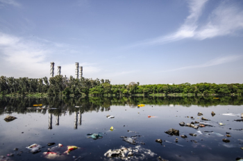 Garbage on Body of Water Garbage on Body of Water