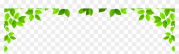 Garden-bg 1528009360 - Bg Tree Garden-bg 1528009360 - Bg Tree