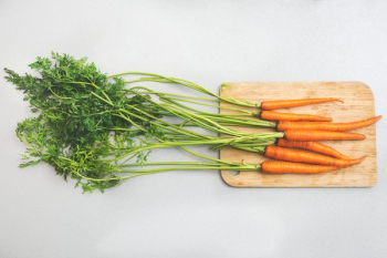 Garden Carrots Garden Carrots