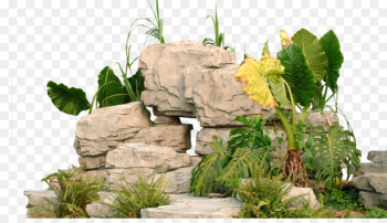 Garden Landscape Park - Park rockery stone Garden Landscape Park - Park rockery stone