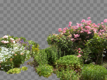 Garden PNG Image