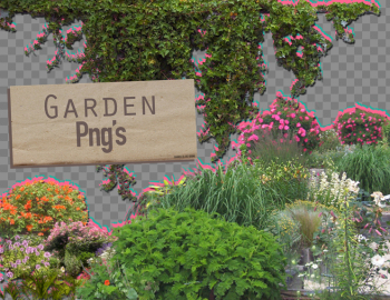 Garden PNG Pic