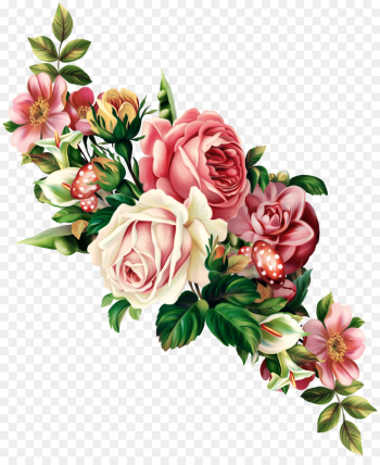 Garden roses Garden roses