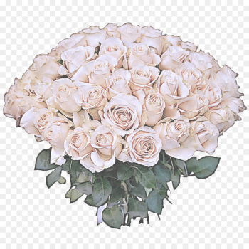 Garden roses Garden roses
