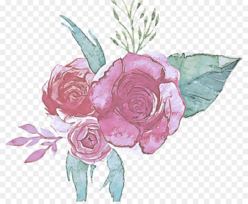 Garden roses Garden roses