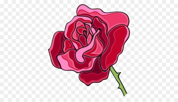 Garden roses Garden roses