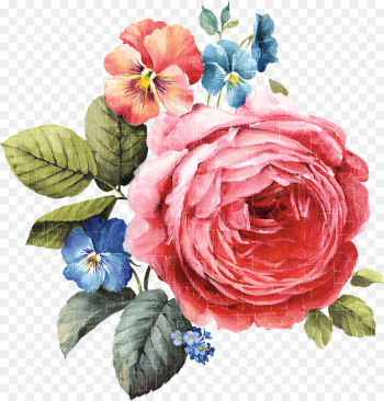 Garden roses Garden roses