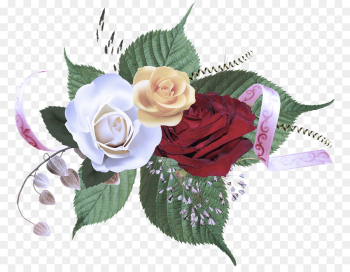 Garden roses Garden roses