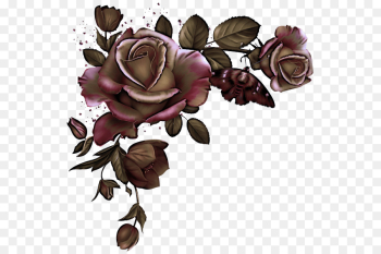 Garden roses Garden roses