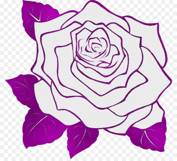 Garden roses Garden roses