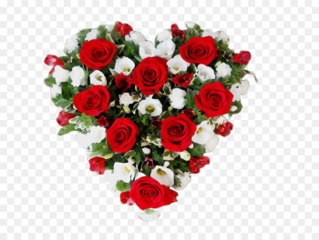 Garden roses Garden roses