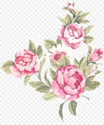 Garden roses Garden roses