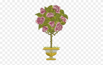 Garden Roses Garden Roses
