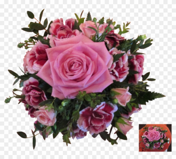 Garden Roses Garden Roses