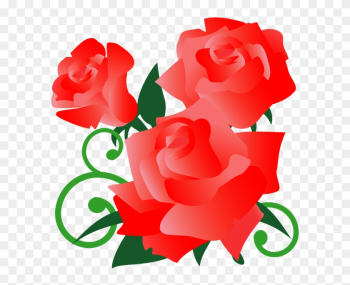 Garden Roses Garden Roses