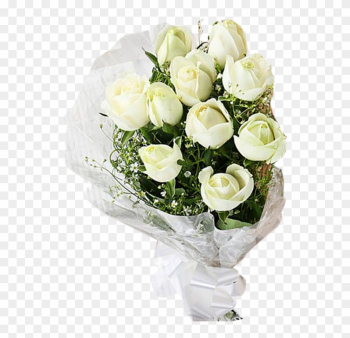 Garden Roses Garden Roses