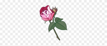Garden Roses Beach Rose Cartoon Flower - Cartoon Rose Png Garden Roses Beach Rose Cartoon Flower - Cartoon Rose Png