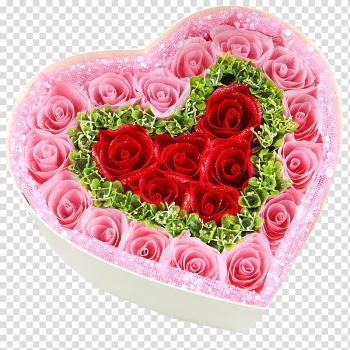 Garden roses Beach rose Pink Gift, Pink Rose Gift Box transparent background PNG clipart
