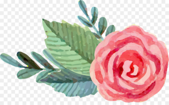 Garden roses Beach rose Watercolor: Flowers Watercolor painting Pink - Pink Rose 