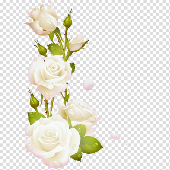 Garden roses Borders and Frames Frames , flores blancas transparent background PNG clipart