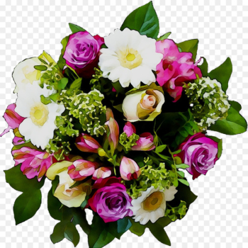 Garden roses Burpee QIS Mix Gomphrena seeds 100 seeds Burpee QIS Mix Gomphrena seeds 100 seeds Burpee Money Plant Lunaria seeds 100 seeds -  