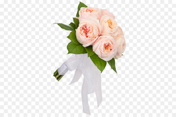 Garden roses Cabbage rose Floral design Cut flowers - flower 