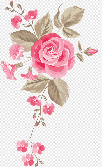 Garden roses Centifolia roses Floral design Cut flowers Flower bouquet, Hand-painted flowers background, pink rose, watercolor Painting, flower Arranging, painted png