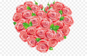 Garden roses Centifolia roses Floral design Pink Cut flowers - Red Roses Heart Clipart 