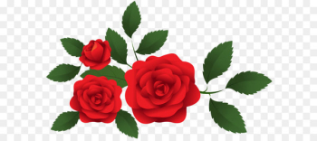 Garden roses Clip art - Red Roses Decoration PNG Clip Art Garden roses Clip art - Red Roses Decoration PNG Clip Art