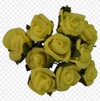 Garden Roses Cut Flowers Flower Bouquet - Garden Roses Garden Roses Cut Flowers Flower Bouquet - Garden Roses