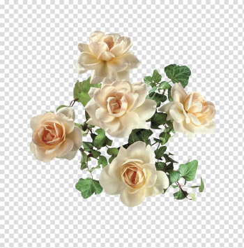 Garden roses Digital , Golden Rose transparent background PNG clipart