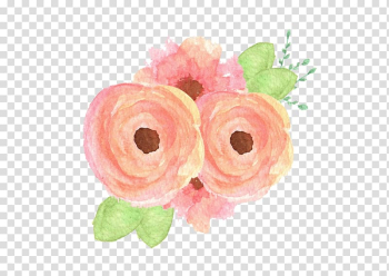 Garden roses Floral design Flower , Peach watercolor flower transparent background PNG clipart