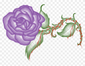 Garden Roses Floral Design Petal - Garden Roses Garden Roses Floral Design Petal - Garden Roses