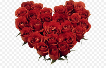 Garden roses Floribunda Floral design Cut flowers Flower bouquet - Heart of Roses Clipart 