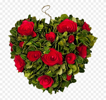 Garden Roses Flower Bouquet Netherlands - Garden Roses Garden Roses Flower Bouquet Netherlands - Garden Roses