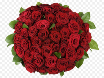 Garden roses Flower bouquet Petal - A bouquet of roses Garden roses Flower bouquet Petal - A bouquet of roses