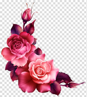 Garden roses Flower garden, rose transparent background PNG clipart Garden roses Flower garden, rose transparent background PNG clipart