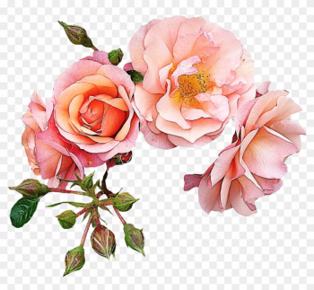 Garden Roses Flower Pink Clip Art - Wedding Day* Gold Love!!!