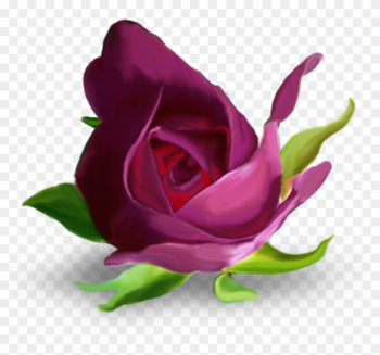 Garden Roses Flower Purple Letter Alphabet - Garden Roses Flower Purple Letter Alphabet Garden Roses Flower Purple Letter Alphabet - Garden Roses Flower Purple Letter Alphabet
