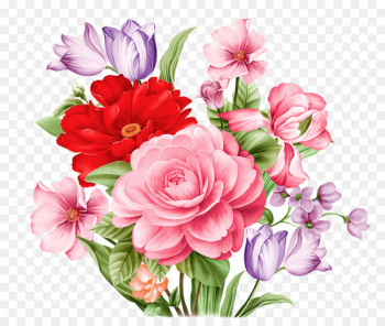 Garden roses Peony Flower - Wong Ting-painted peony Garden roses Peony Flower - Wong Ting-painted peony