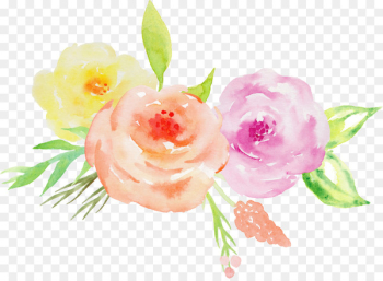Garden roses Wedding invitation Watercolor painting Floral design Flower - Hand-painted watercolor roses decorative elements 