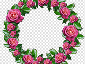 Garden roses Wreath Floral design, rose transparent background PNG clipart Garden roses Wreath Floral design, rose transparent background PNG clipart