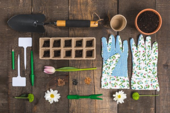 Gardening Flatlay Gardening Flatlay