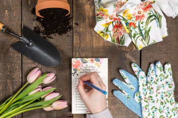Gardening Theme Flat Lay Gardening Theme Flat Lay