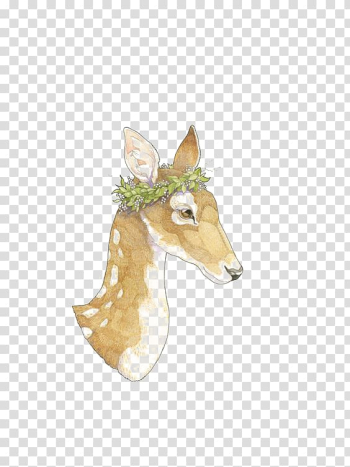 Gazelle Deer, Deer transparent background PNG clipart Gazelle Deer, Deer transparent background PNG clipart