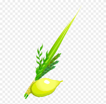 Gematria Words - Sukkot - Gematria Words - Sukkot Gematria Words - Sukkot - Gematria Words - Sukkot