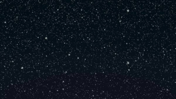 Gentle Snowfall At Night